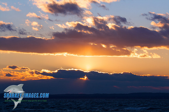 121009_ 57 - Version 2.jpg
