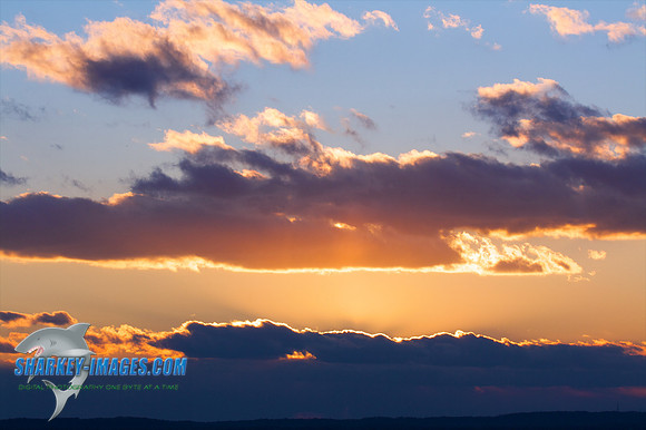 121009_ 62 - Version 2.jpg