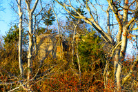121009_ 24 - Version 2.jpg