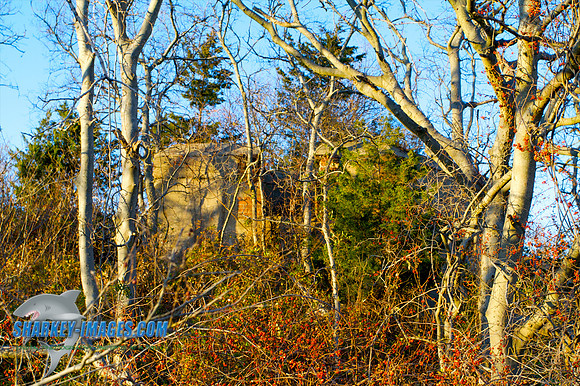 121009_ 24 - Version 2.jpg