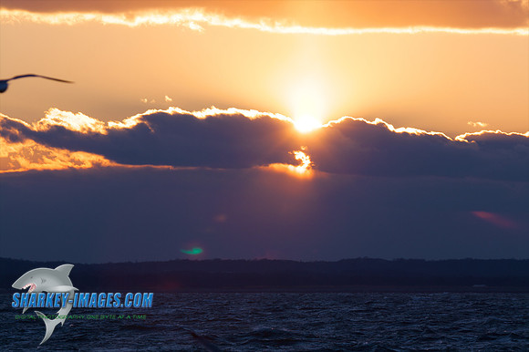 121009_ 54 - Version 2.jpg