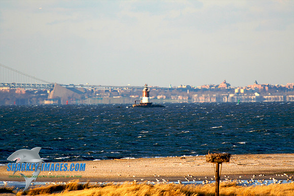 121009_ 13 - Version 2.jpg