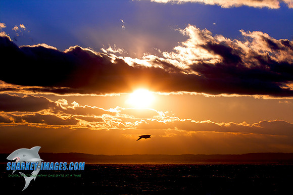 121009_ 36 - Version 2.jpg