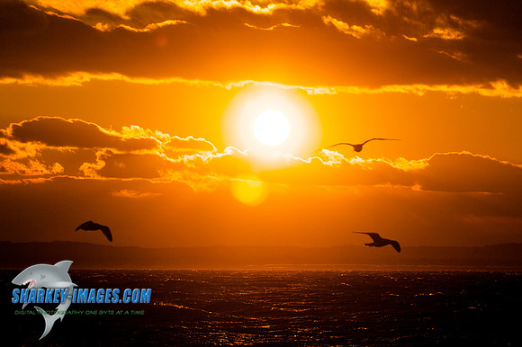 121009_ 40 - Version 2.jpg