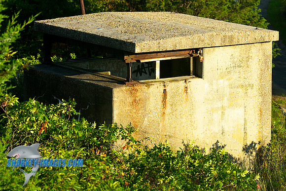 120905A 20