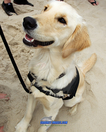 150517 189