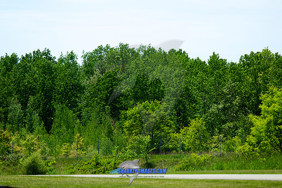 150524D 575