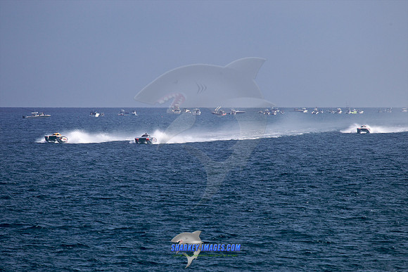 121019D 74 - Version 2