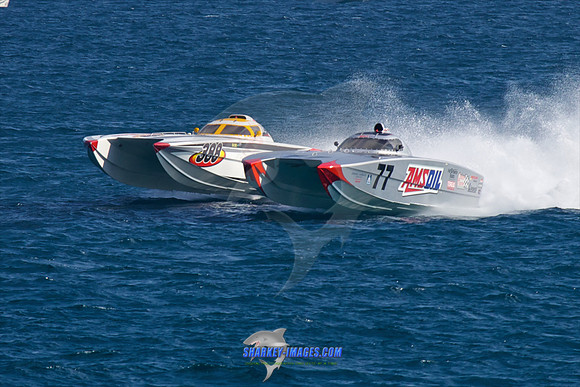 121019D 81 - Version 2