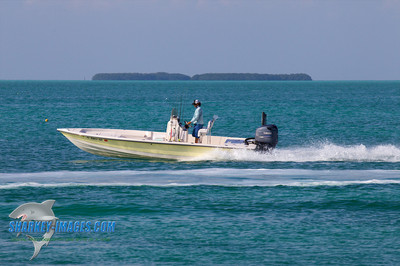120225B 42 - Version 2