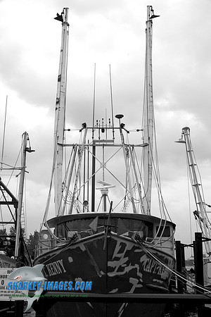 110827A 118 - Version 2