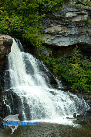 210811WV 11