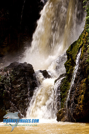 110421 254 - Version 2