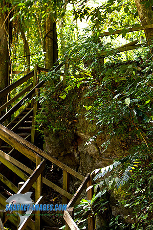 110421 249 - Version 2