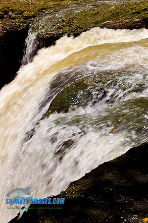 110421 256 - Version 2