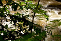 110421 212 - Version 2