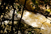 110421 213 - Version 2