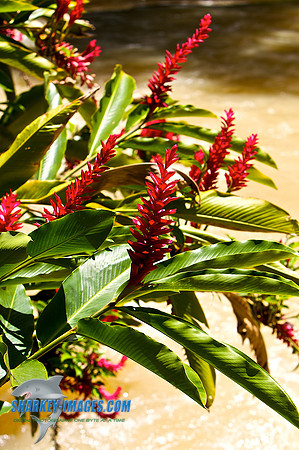 110421 260 - Version 2
