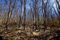 120407 14 - Version 2