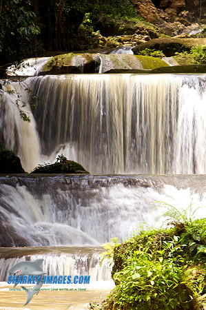 110421 239 - Version 2