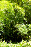 110421 210 - Version 2