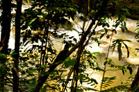 110421 211 - Version 2