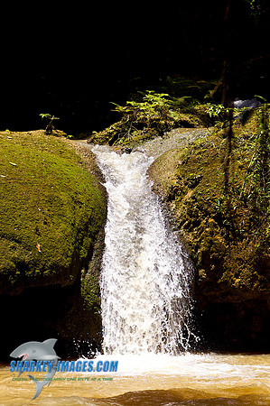 110421 244 - Version 2
