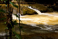 110421 215 - Version 2