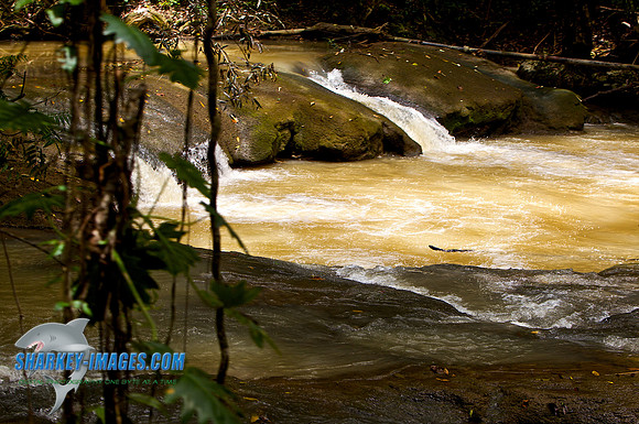 110421 215 - Version 2