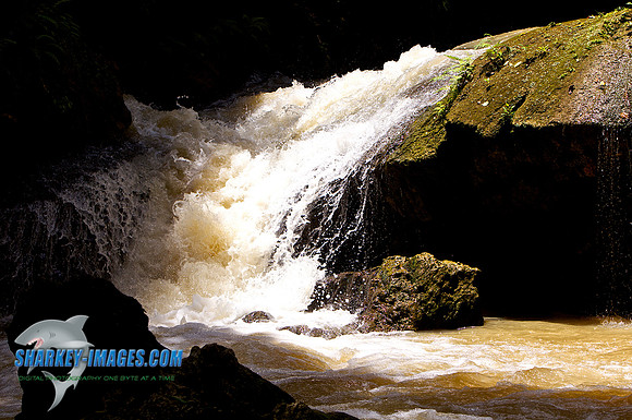 110421 242 - Version 2