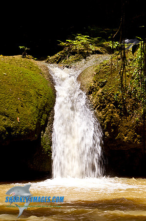 110421 245 - Version 2