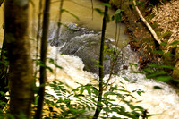 110421 214 - Version 2