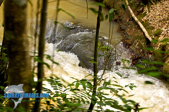 110421 214 - Version 2