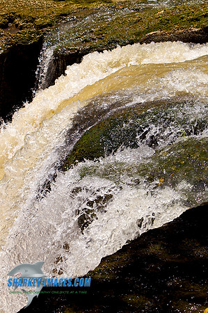 110421 255 - Version 2