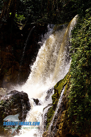 110421 251 - Version 2