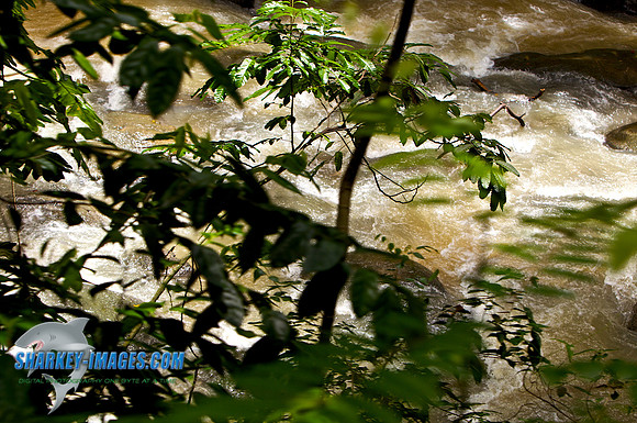 110421 212 - Version 2