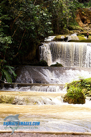110421 231 - Version 2