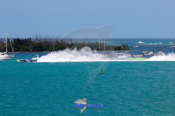 111113R2 219 - Version 2