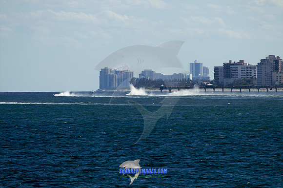 121021F 73 - Version 2