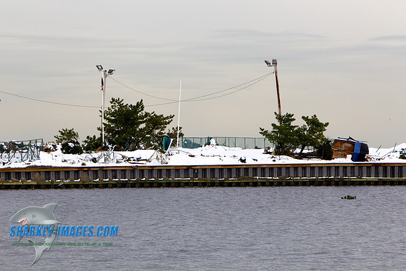 121108 41