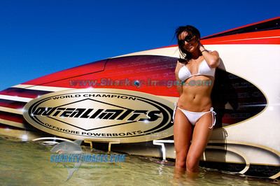 111112A 384 - Version 2