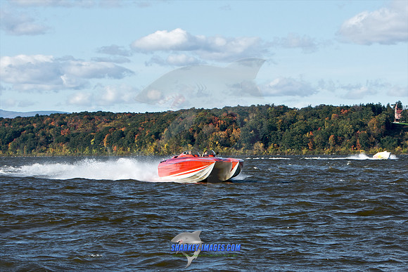 101009B 381 - Version 2.jpg