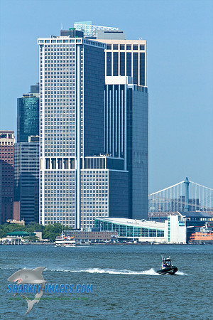 062010 81 - Version 2