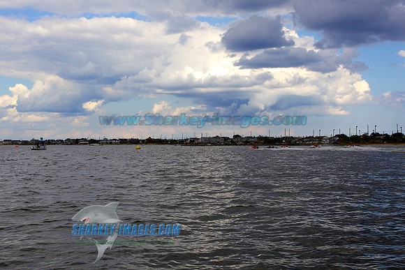 120930B 559