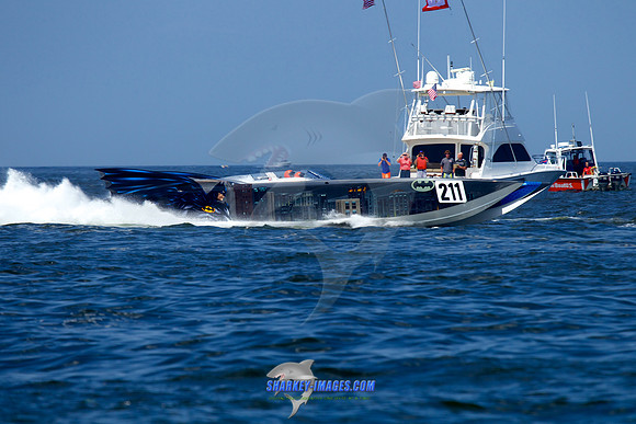 150710D 212