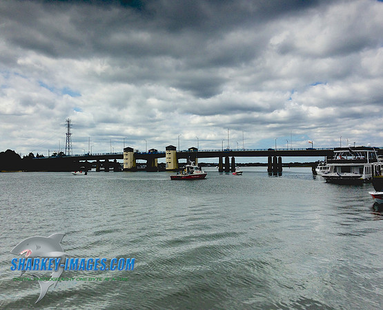 150710_iP 8