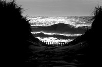 110416 51 - Version 2