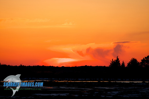 022010_ 26 - Version 2.jpg