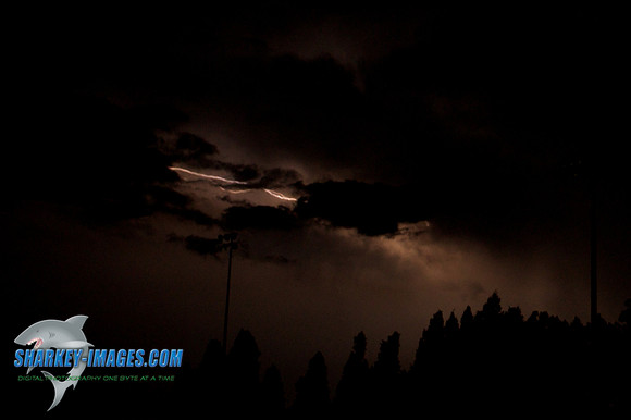 1106121F 77 - Version 2