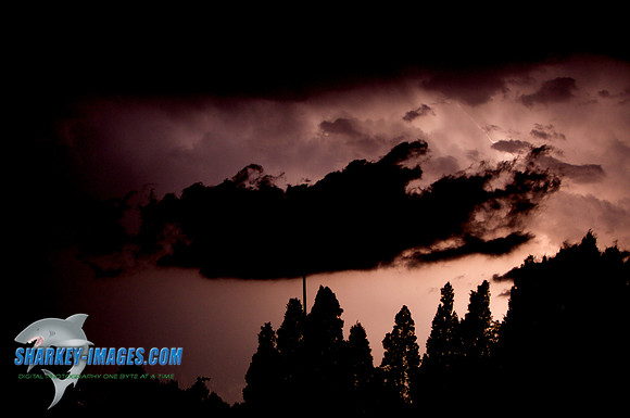 1106121F 20 - Version 2